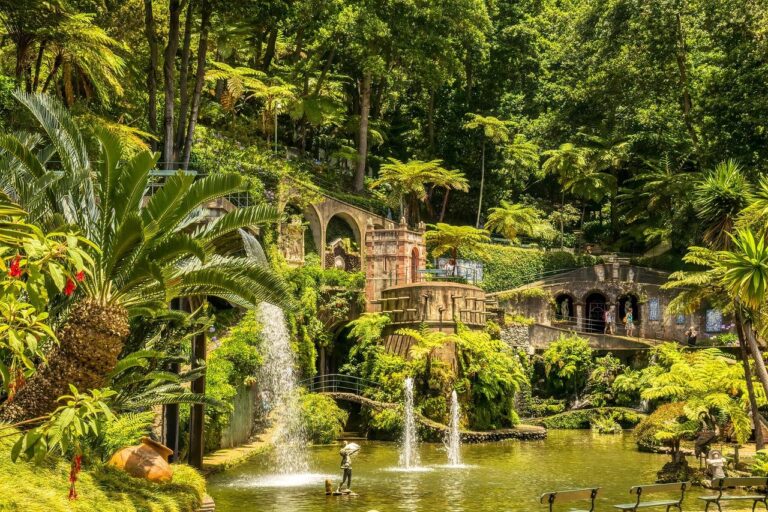 Home Groene levada wandelpad op Madeira met stromend water en tropische vegetatie langs de route