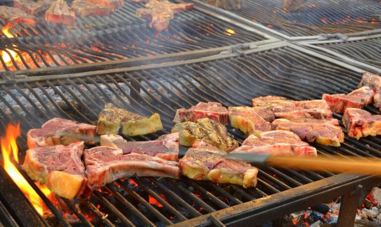 Home Moderne barbecuecultuur met diverse vegetarische en vlees opties op de grill, onderdeel van de evolutie van het buitenkoken